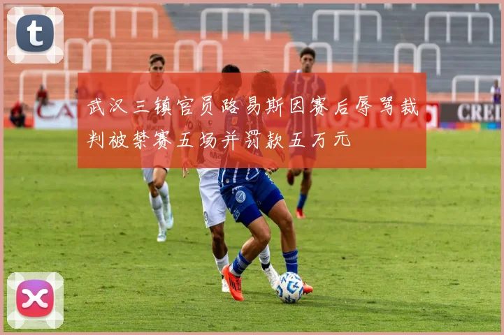 武汉三镇官员路易斯因赛后辱骂裁判被禁赛五场并罚款五万元