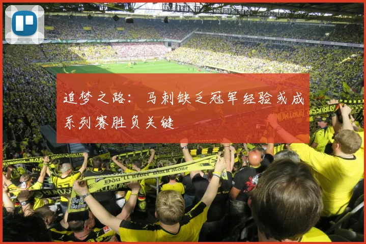 追梦之路：马刺缺乏冠军经验或成系列赛胜负关键